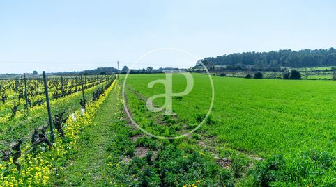 Foto 4 von Residential zum Verkauf in Polígono 15 Parcela 402, Porreres, Illes Balears