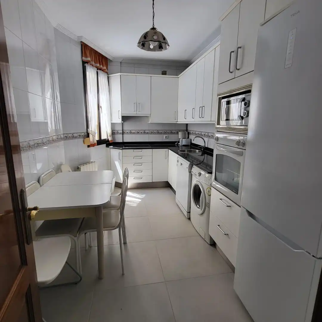 Piso con terraza en venta en Alameda DOCTOR AREILZA, imagen 18