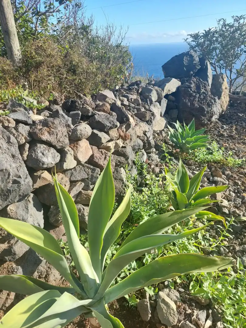 Jardín de Casa o chalet en venta en Frontera con Terraza y Trastero