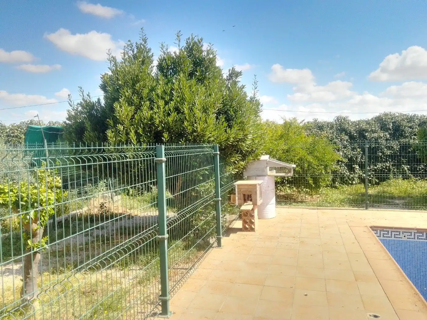 Jardí de Casa o xalet en venda en Torre-Pacheco amb Terrassa, Traster i Piscina