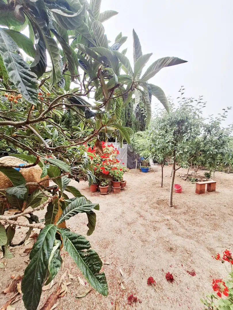 Rural land for sale in Belicena, imagen 12