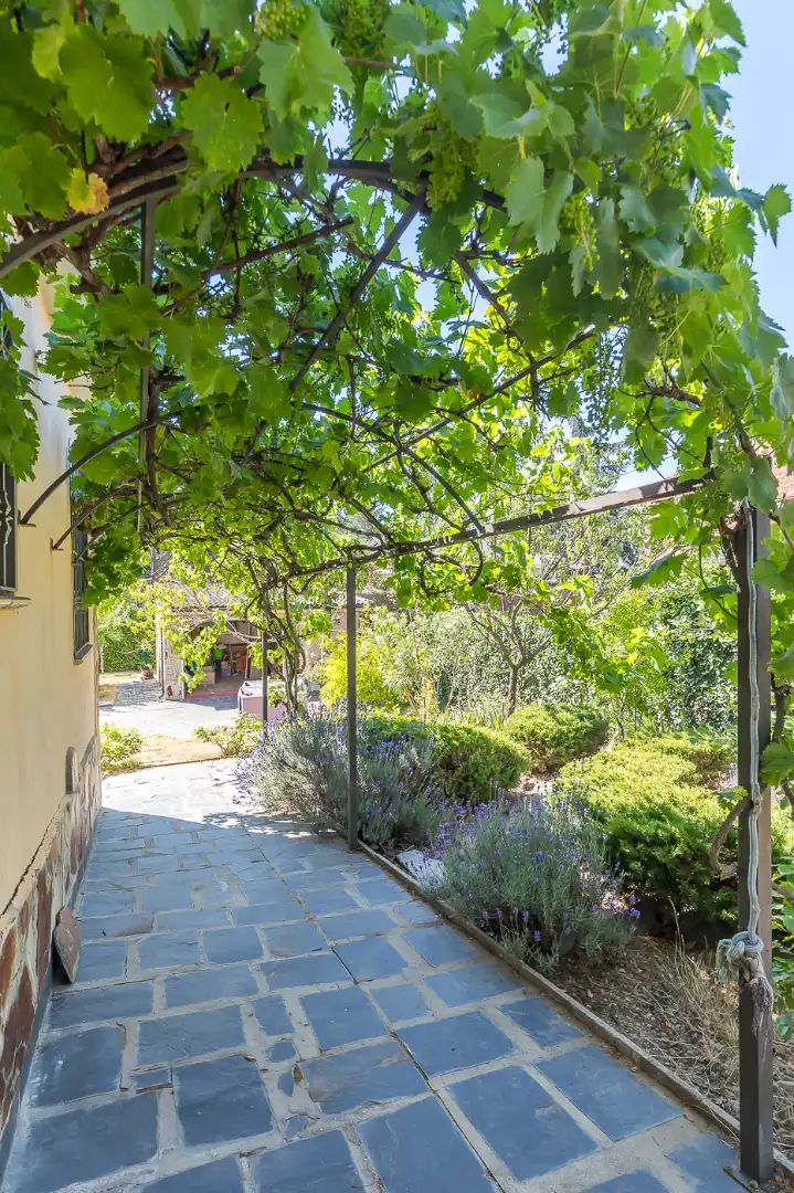 Jardín de Casa o chalet en venta en Guadarrama