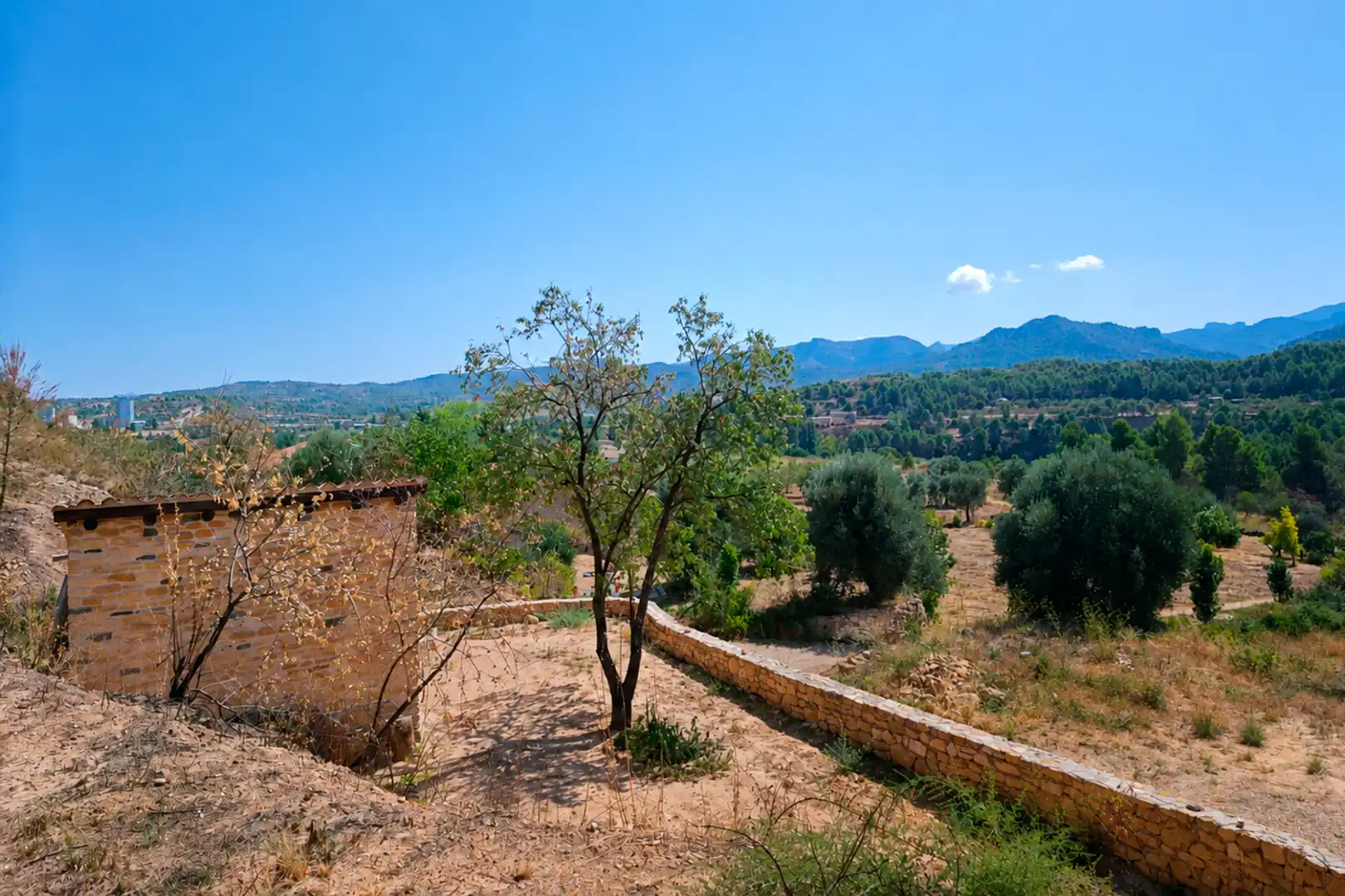 Terreni e lotti in vendita a Valderrobres, imagen 13
