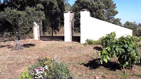 Foto 5 de Finca rústica en venda a Miralvalle - Av. Virgen del Puerto - La Data, Cáceres