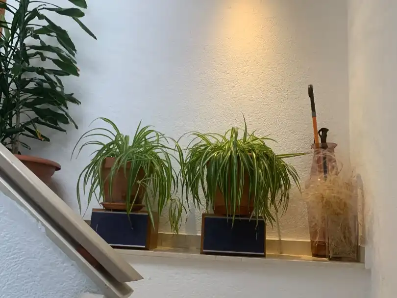 Maison avec jardin à vendre à Francesc Ponsa 21, imagen 11