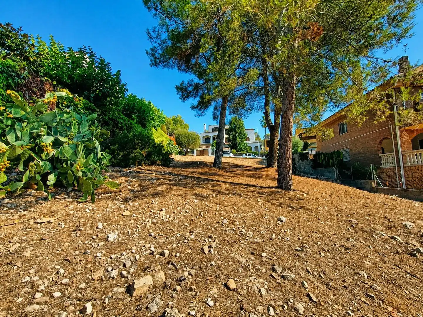 Terreno residencial en venta en Canyelles, imagen 12