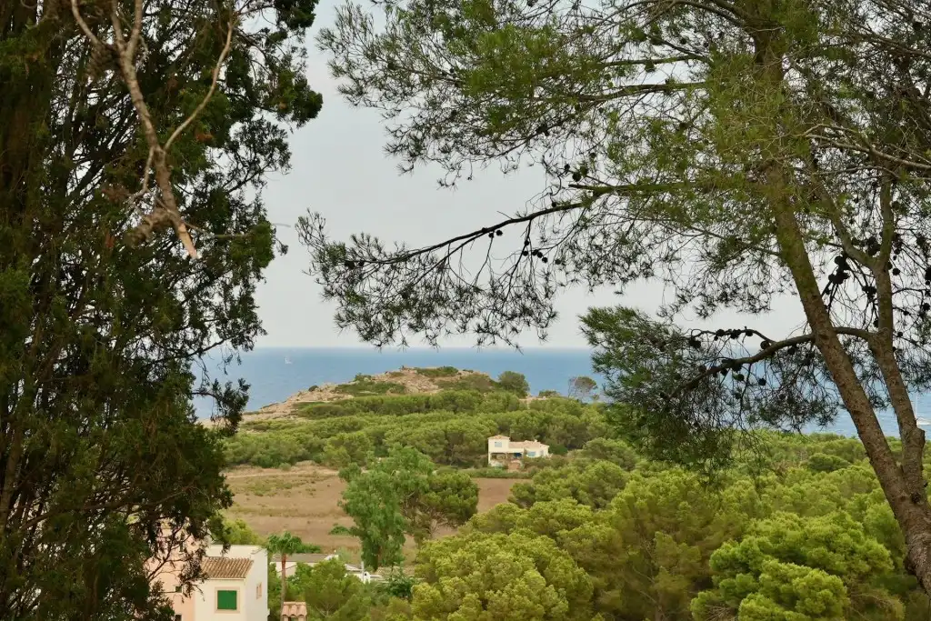 Vista exterior de Casa o chalet en venta en Capdepera con Aire acondicionado, Jardín privado y Terraza