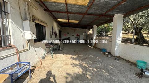 Foto 4 de Finca rústica en venda a De la Torca, Poleares, Córdoba