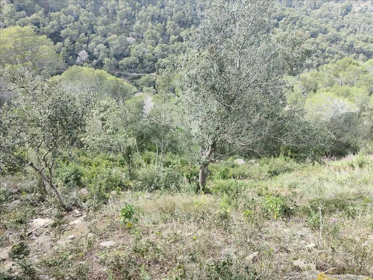 Residential zum Verkauf in Begur