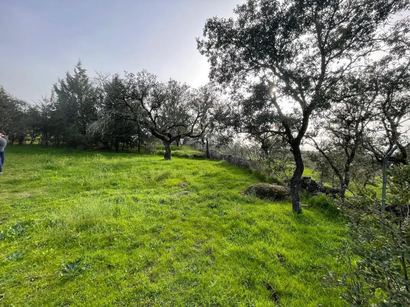 Haus oder Chalet zum Verkauf in Cáceres mit Klimaanlage und Abstellraum