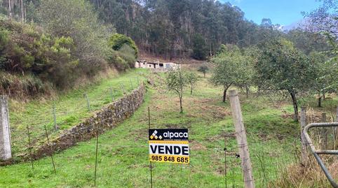 Photo 2 of House or chalet for sale in Linares, Ribadesella, Asturias