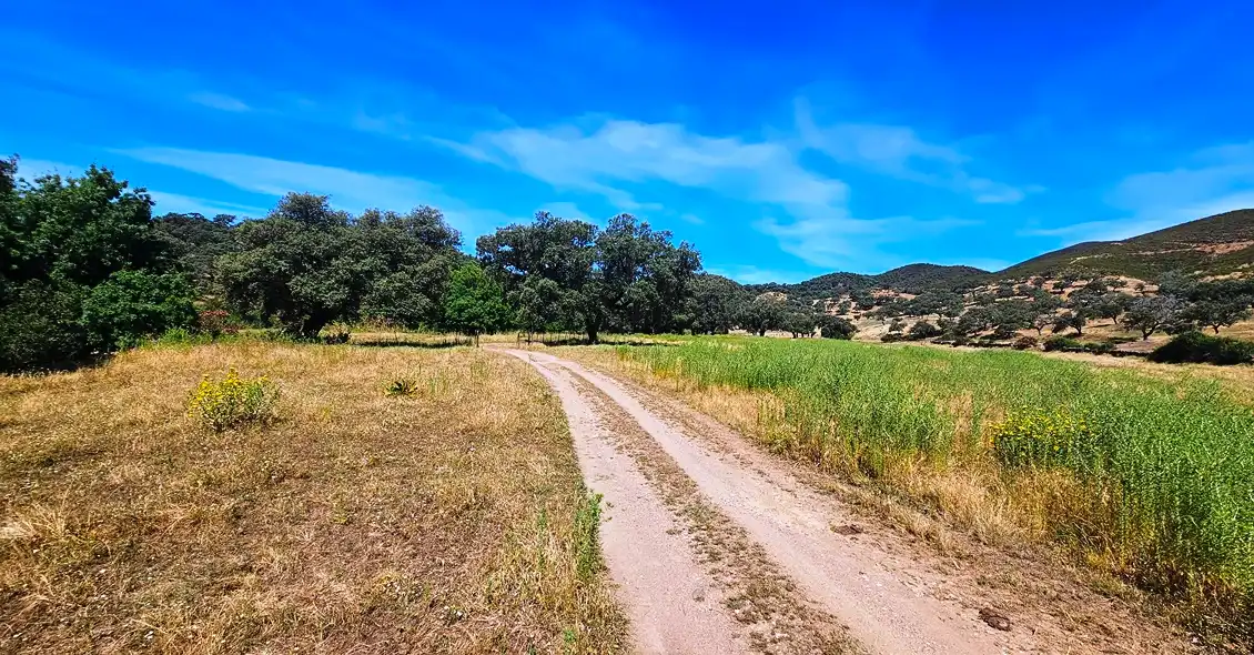 Terrenos y solares en venta en Aracena, imagen 45