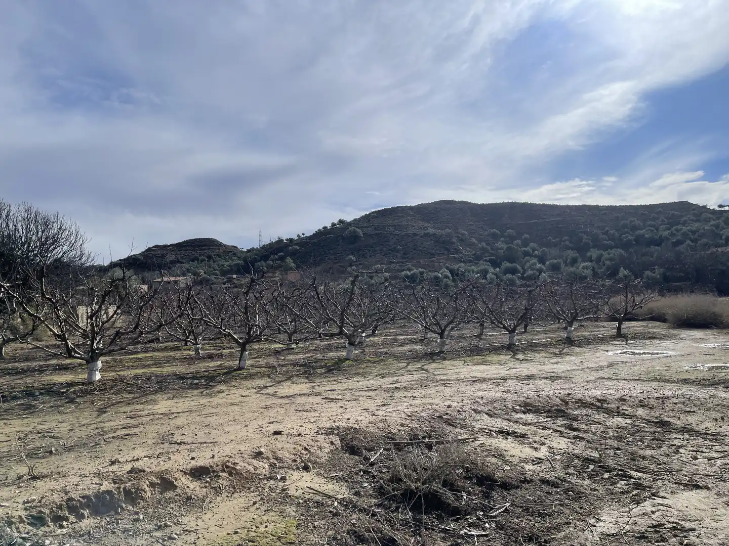 Land for sale in Fraga