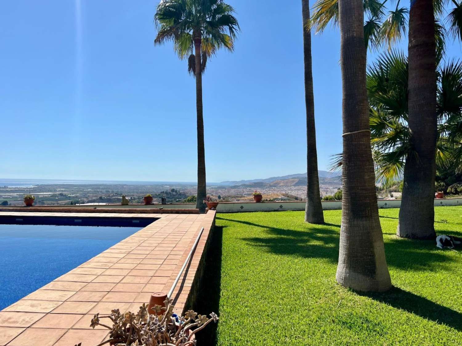 Exterior view of House or chalet to rent in Motril  with Swimming Pool