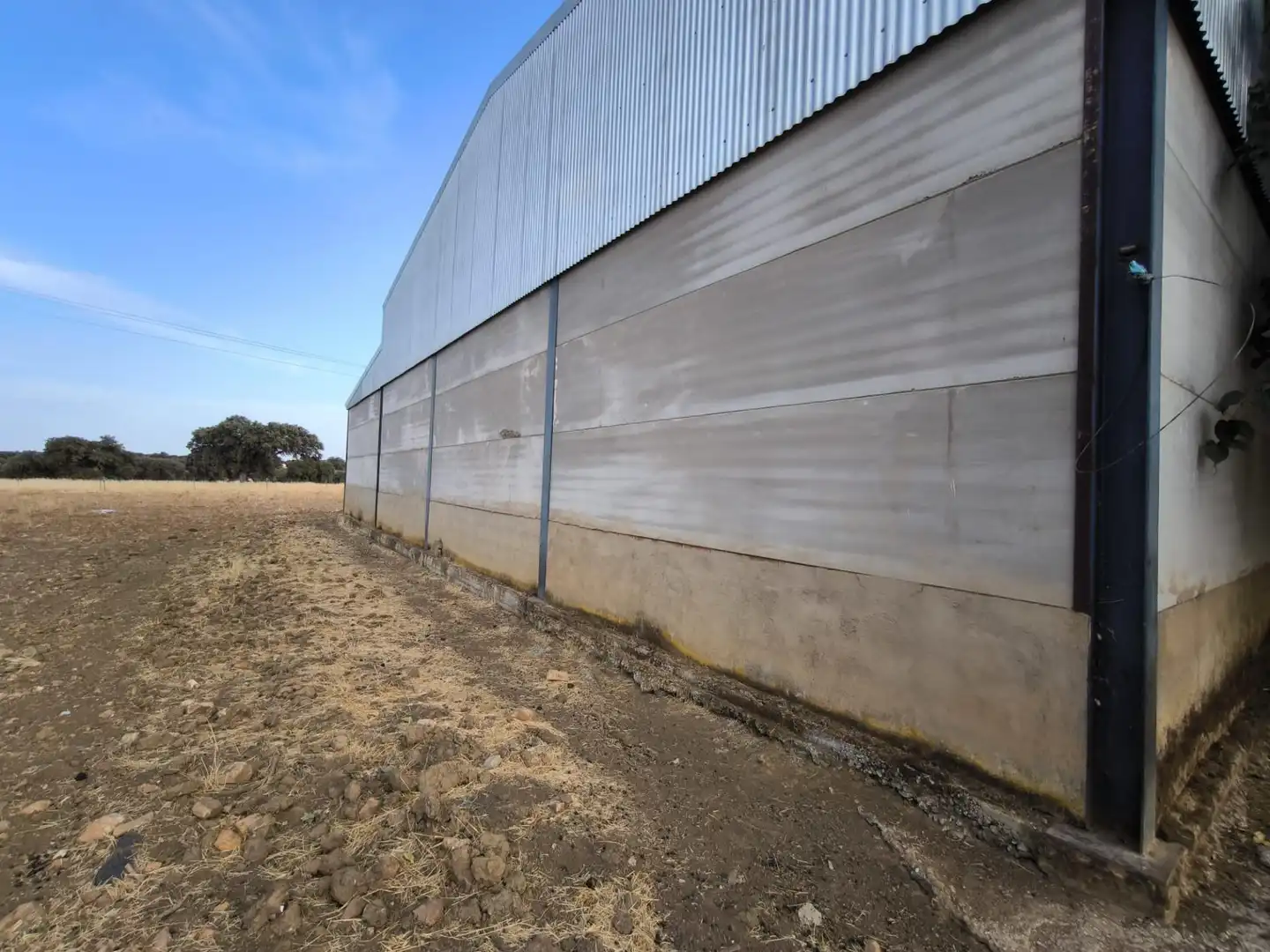 Vista exterior de Finca rústica en venda en El Viso de San Juan