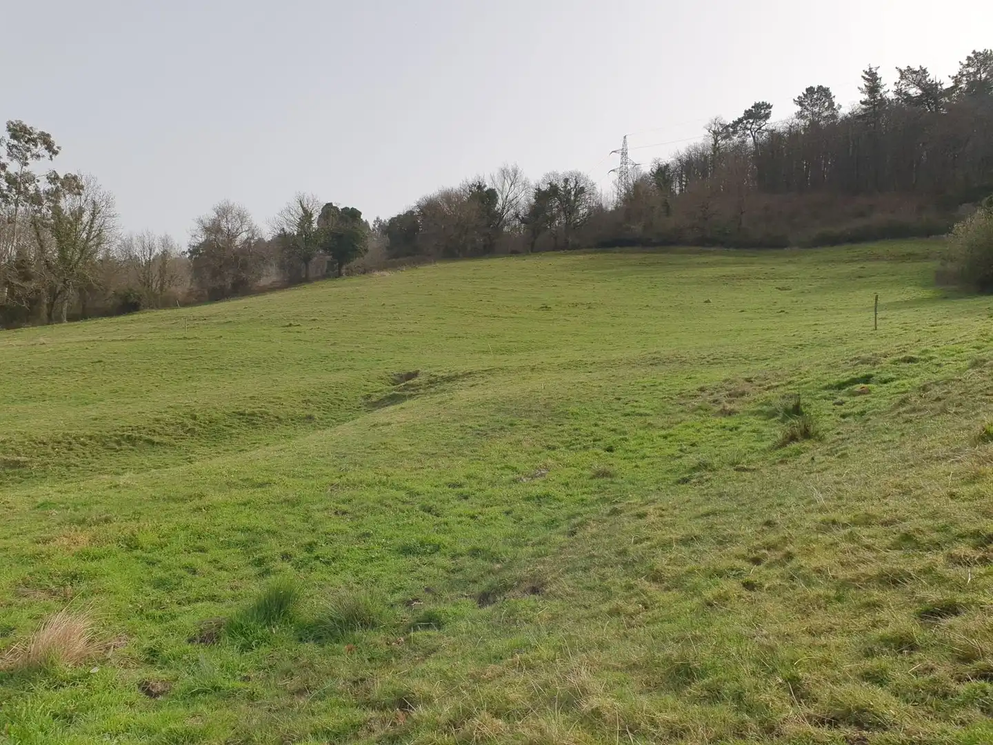 Maison rustique à vendre à Grado, imagen 11