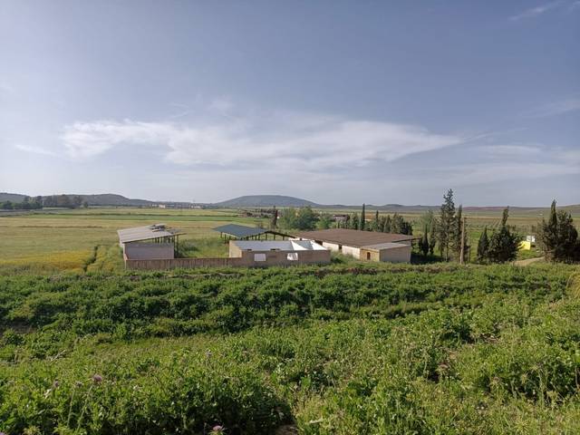 Finca rústica en Venta en Mollina