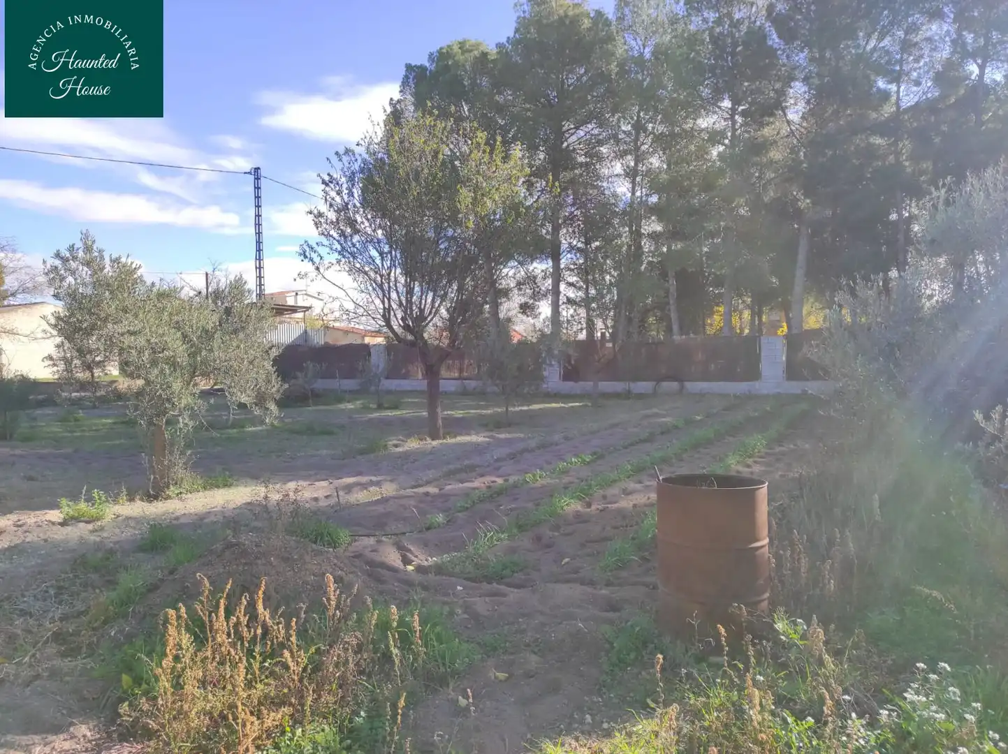 Casa rústica en venda a OJOS DE SAN JORGE, imagen 23