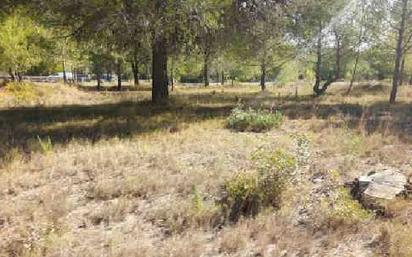 Land for sale in Estivella