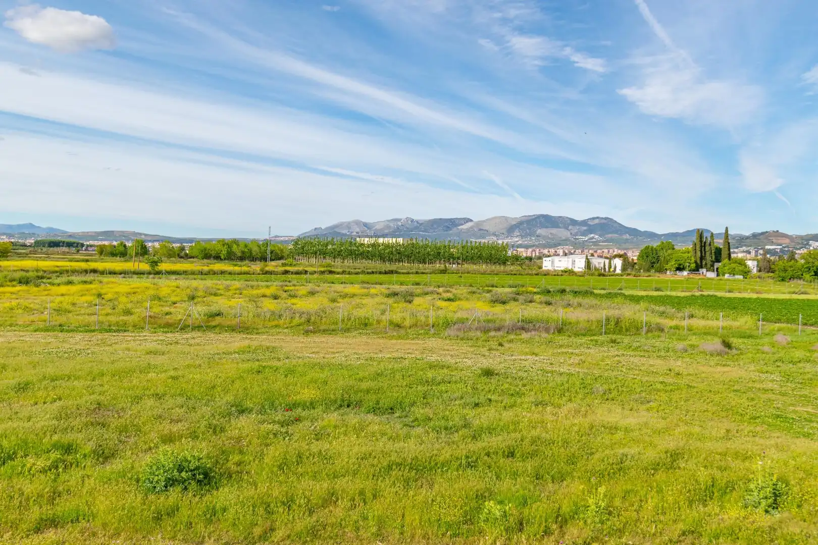 Lands and plots for sale in Polígono 9 Parcela 307 MARACHAT. GRANADA (GRANADA, imagen 13