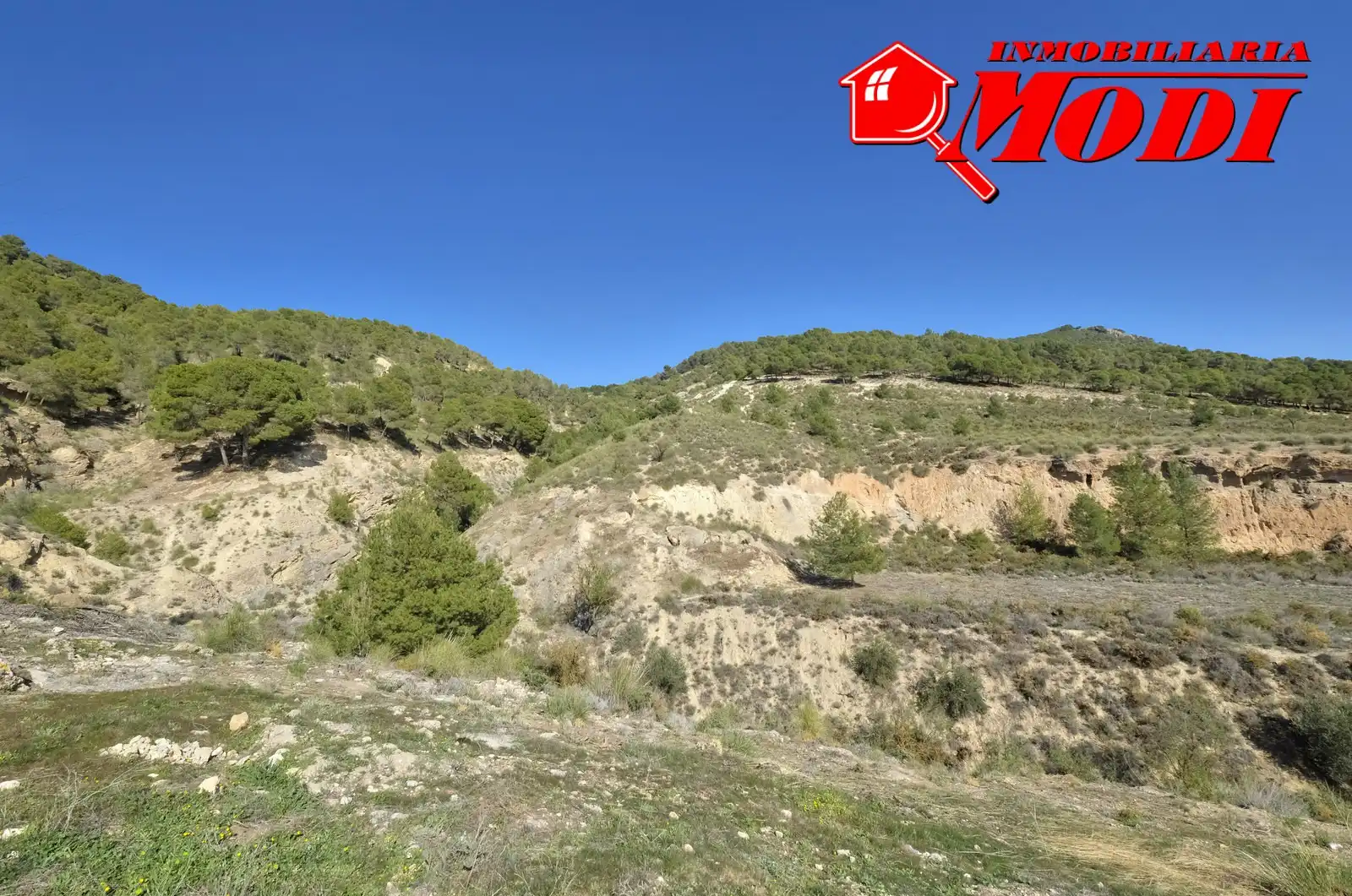 Terreni e lotti in vendita a Padul, imagen 47