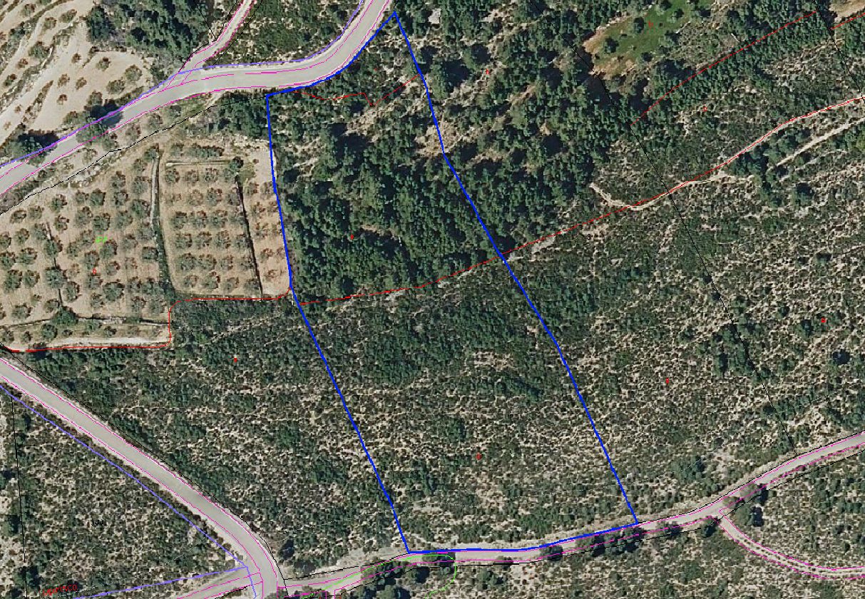 Land for sale in Bicorp