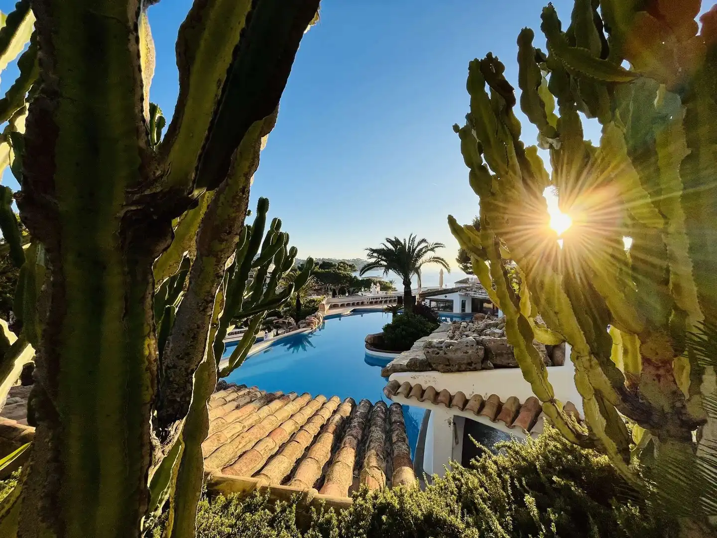 Piscina de Planta baja en venta en Calvià con Aire acondicionado, Calefacción y Terraza