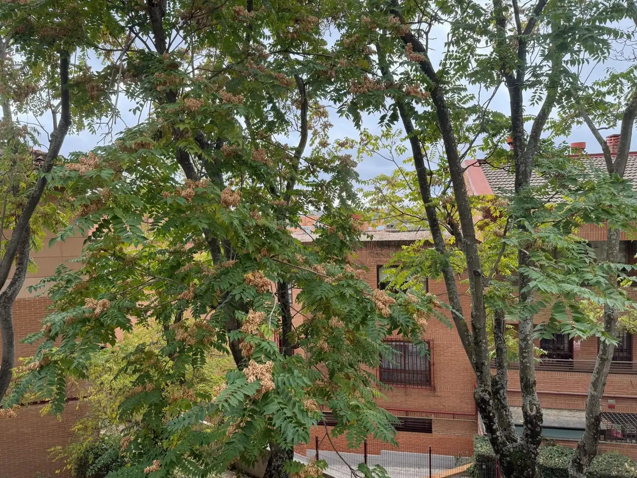 Vista exterior de Pis de lloguer en Madrid amb Aire condicionat, Calefacció i Traster