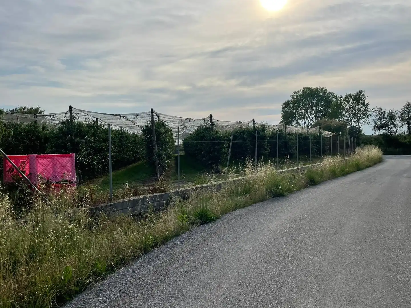 Rural land for sale in Sant Pere Pescador, imagen 32