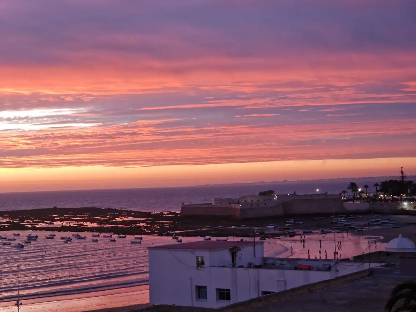 Appartement à vendre à La Caleta - La Viña, imagen 15
