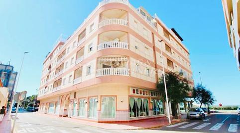 Foto 5 de Apartament de lloguer a Gaspar Perelló, Torrevieja