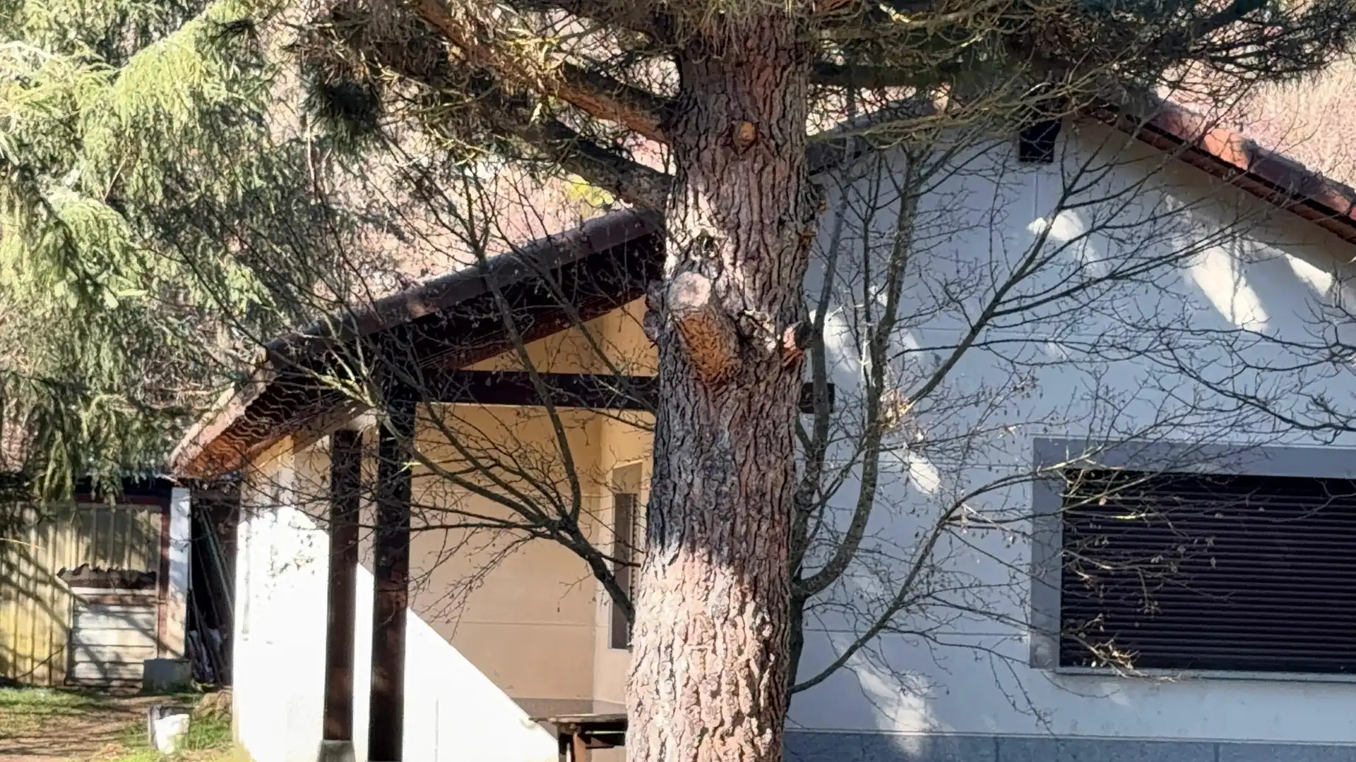 Vista exterior de Casa o xalet en venda en Garrafe de Torío amb Jardí privat i Traster