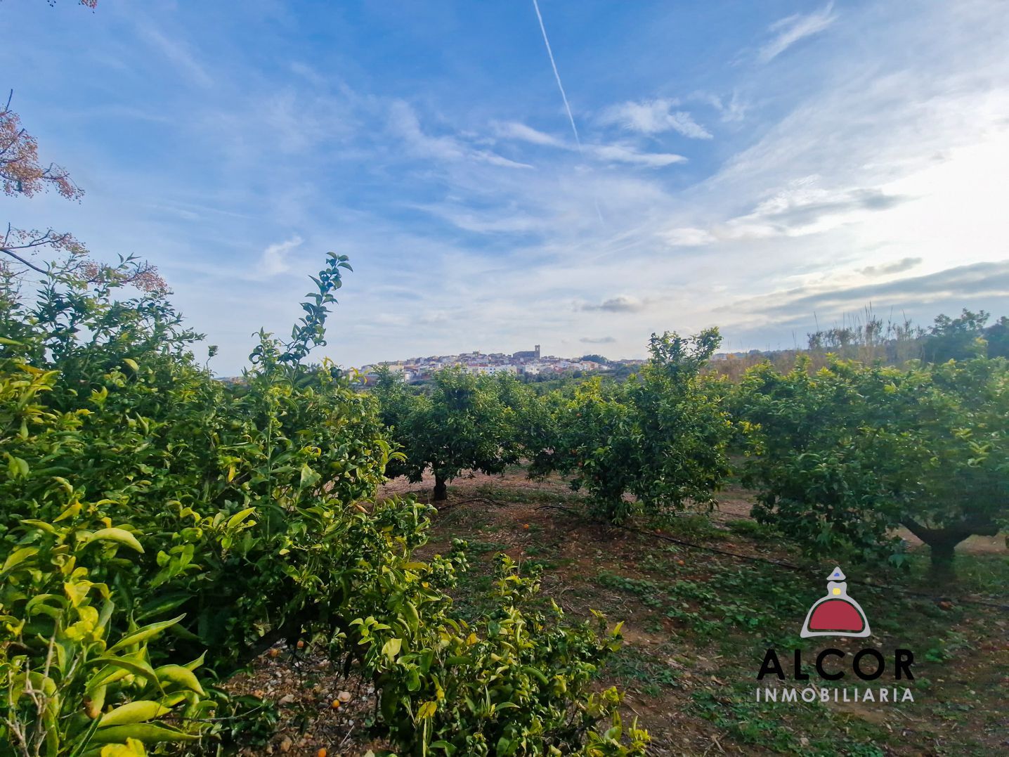 Country house zum verkauf in Almazora / Almassora