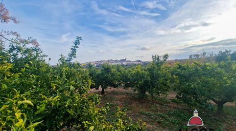 Foto 3 de Finca rústica en venda a 16, Casco Antiguo - Darremur, Castellón