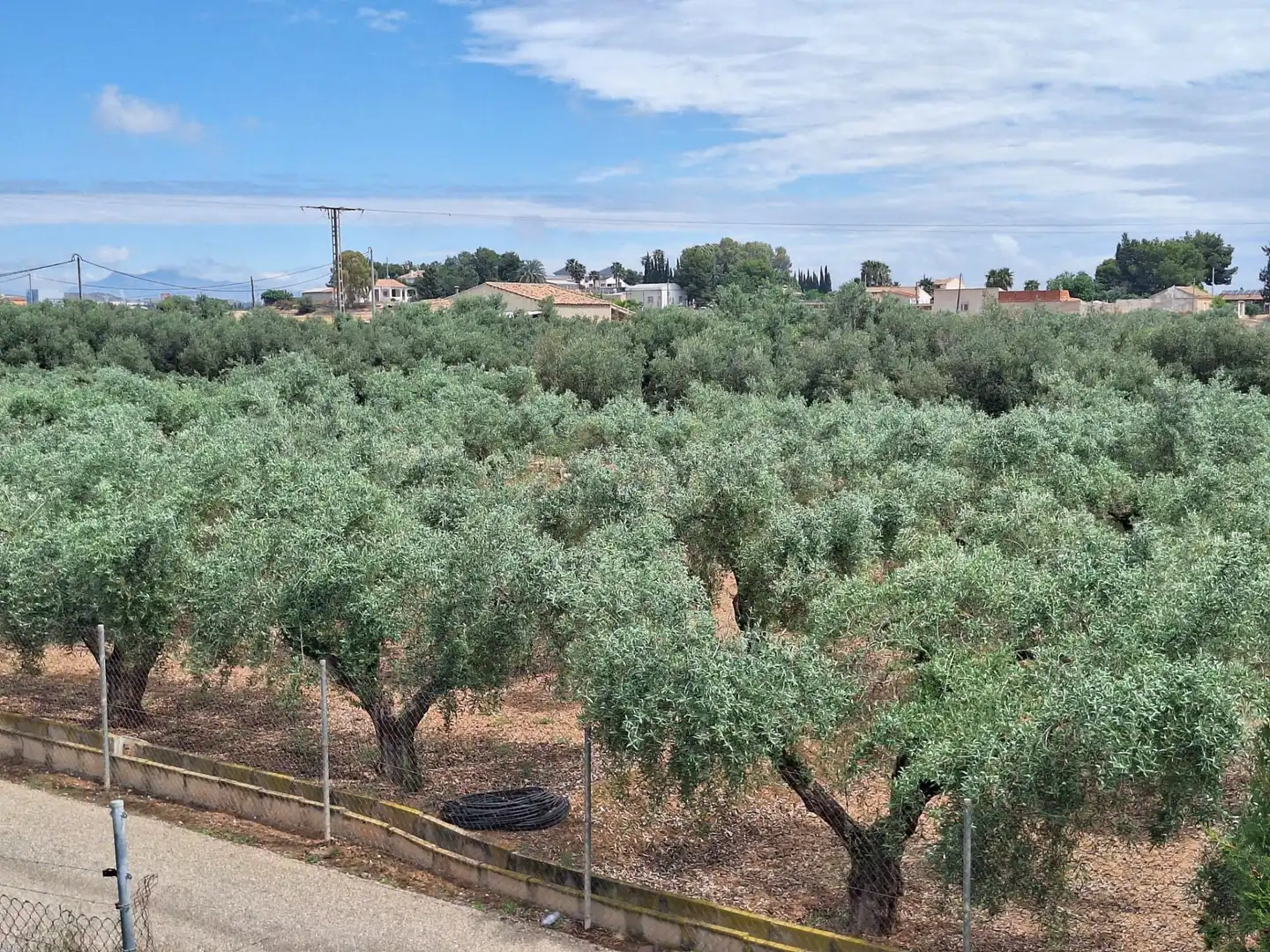 Country homes for sale in Sangonera la Seca