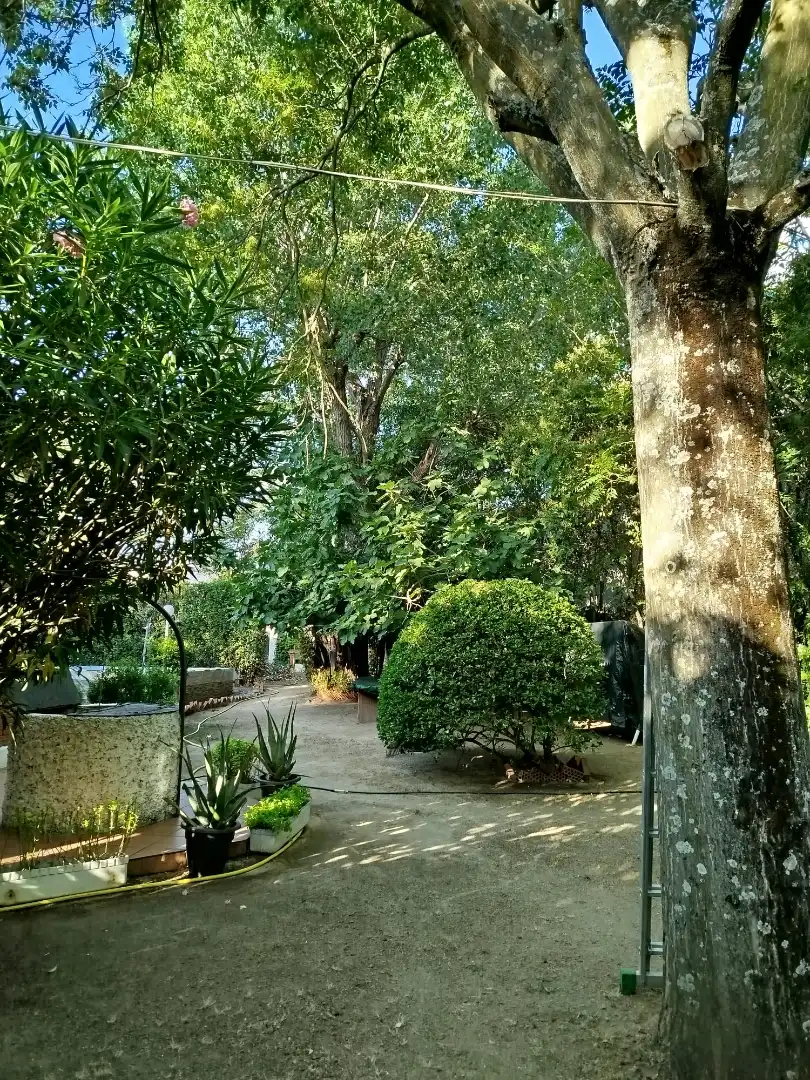 Jardí de Casa o xalet en venda en Griñón amb Calefacció, Jardí privat i Piscina