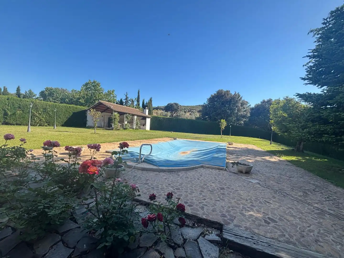 Piscina de Finca rústica en venda en Ciudad Real