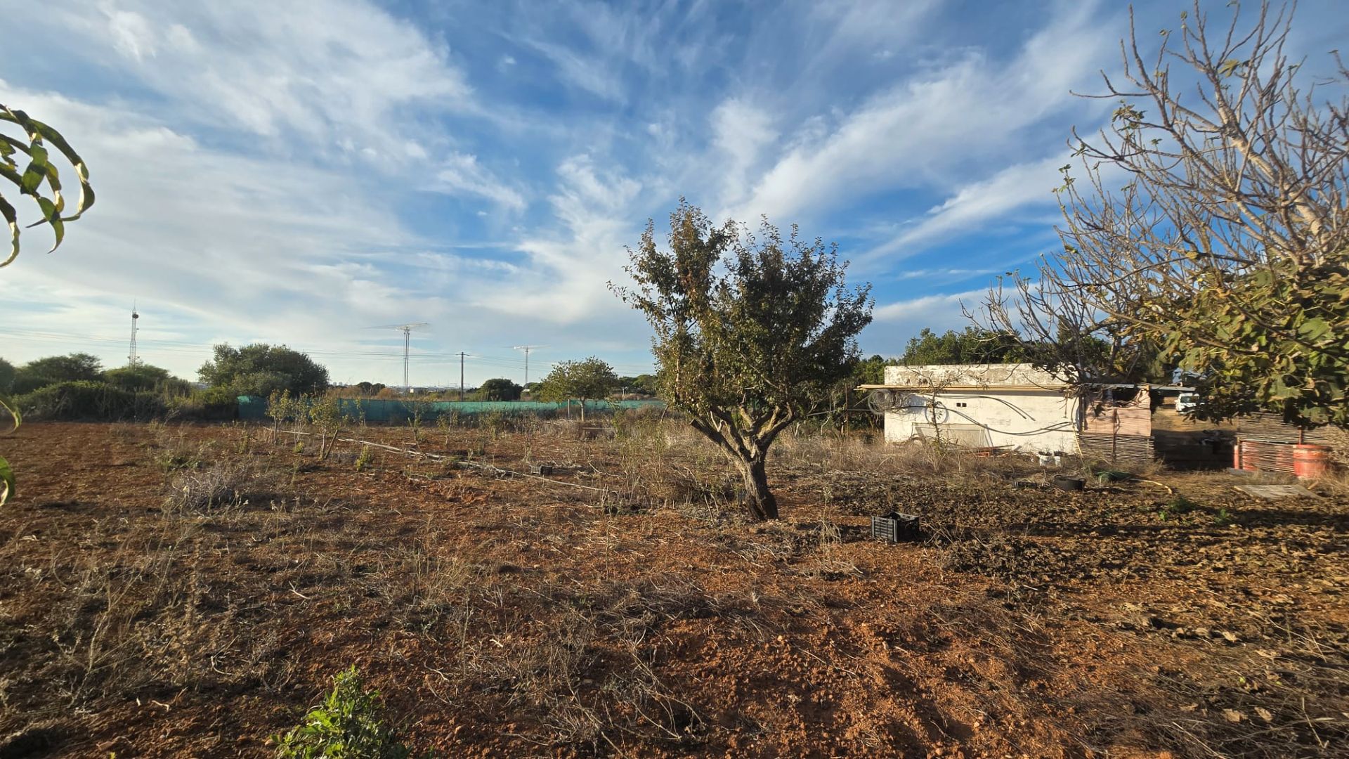 Land for sale in Puerto Real
