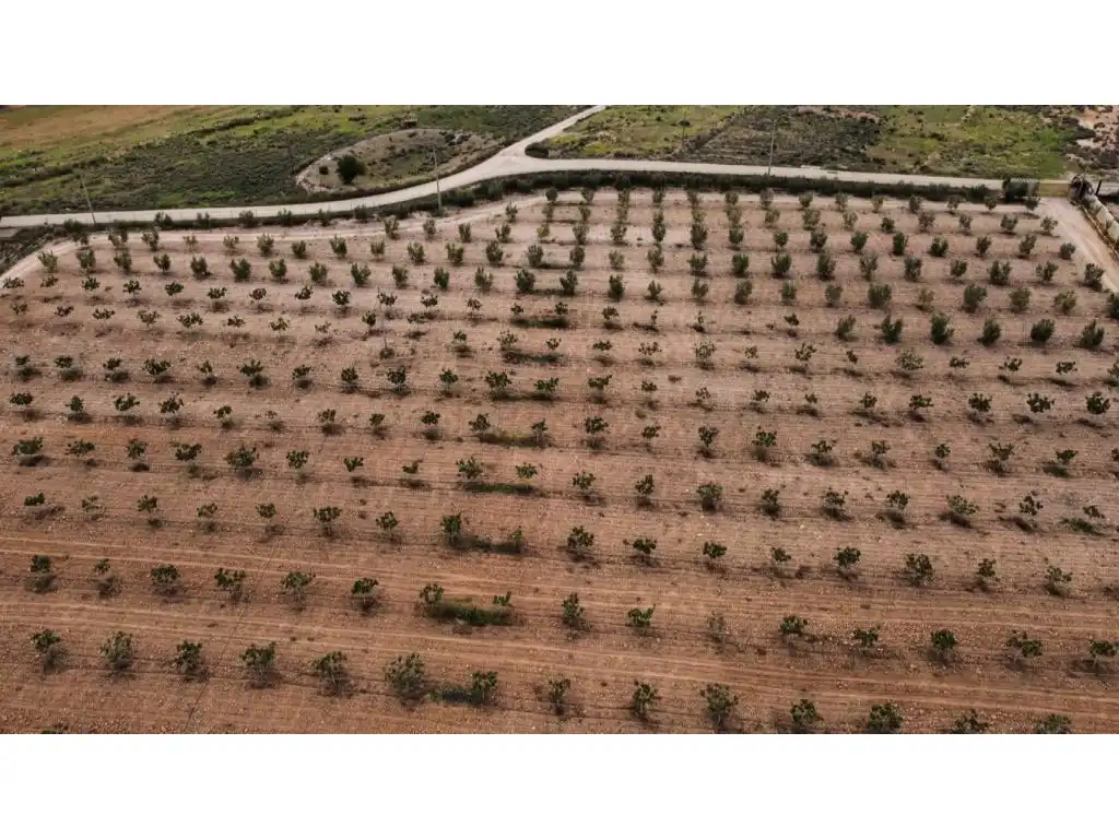 Finca rústica en venda a Escucha