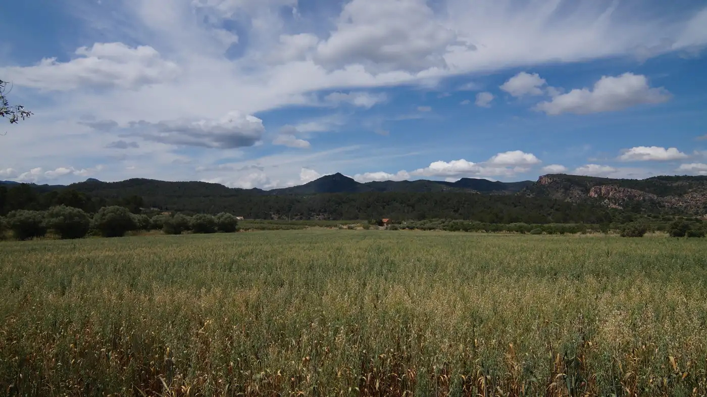 Terreno en venta en Ginestar