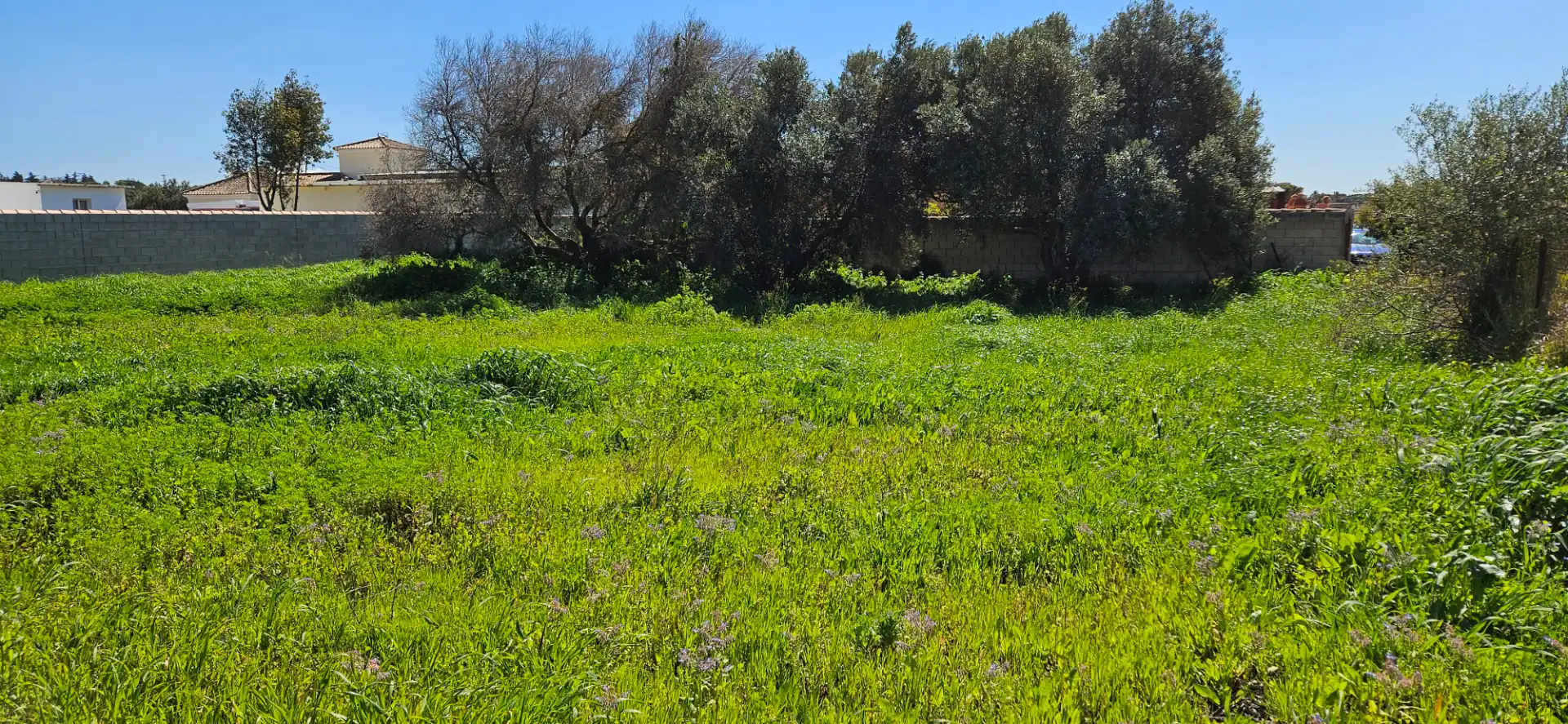 Terreny rústic en venda a Las Lagunas - Campano, imagen 3