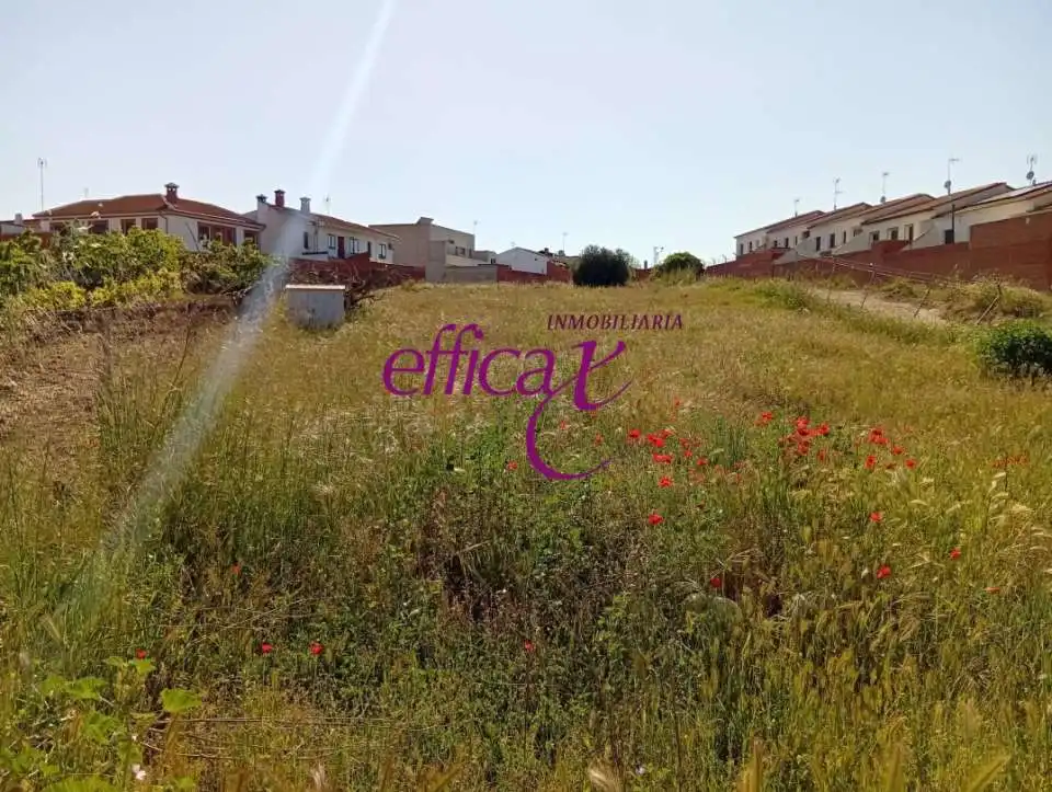 Rural land for sale in La Puebla de Montalbán, imagen 3