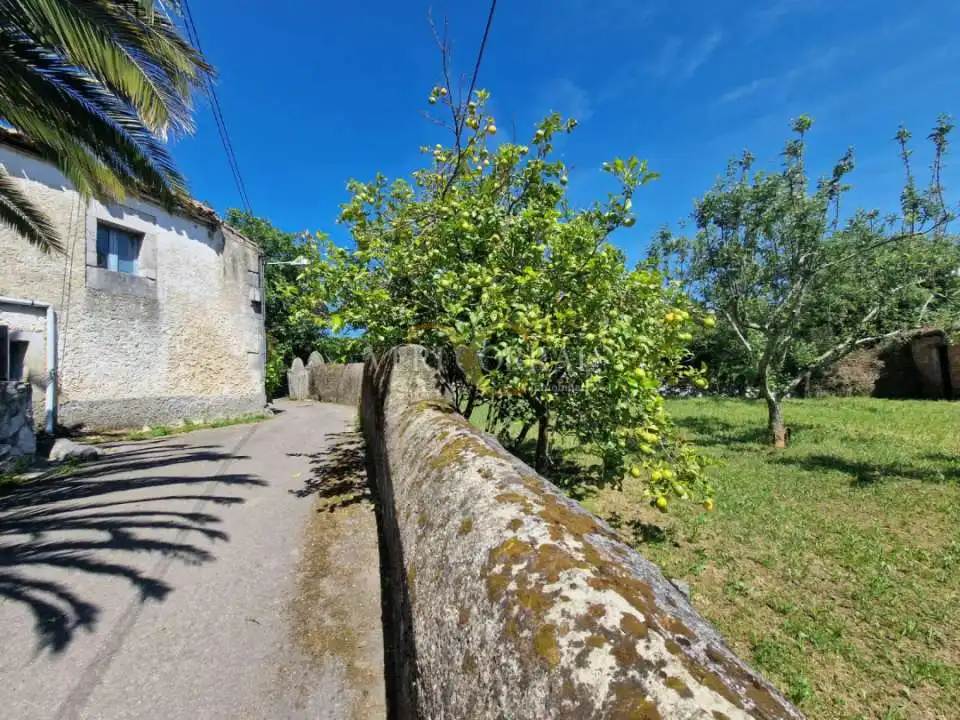 Maison à vendre à Celoriu, imagen 10