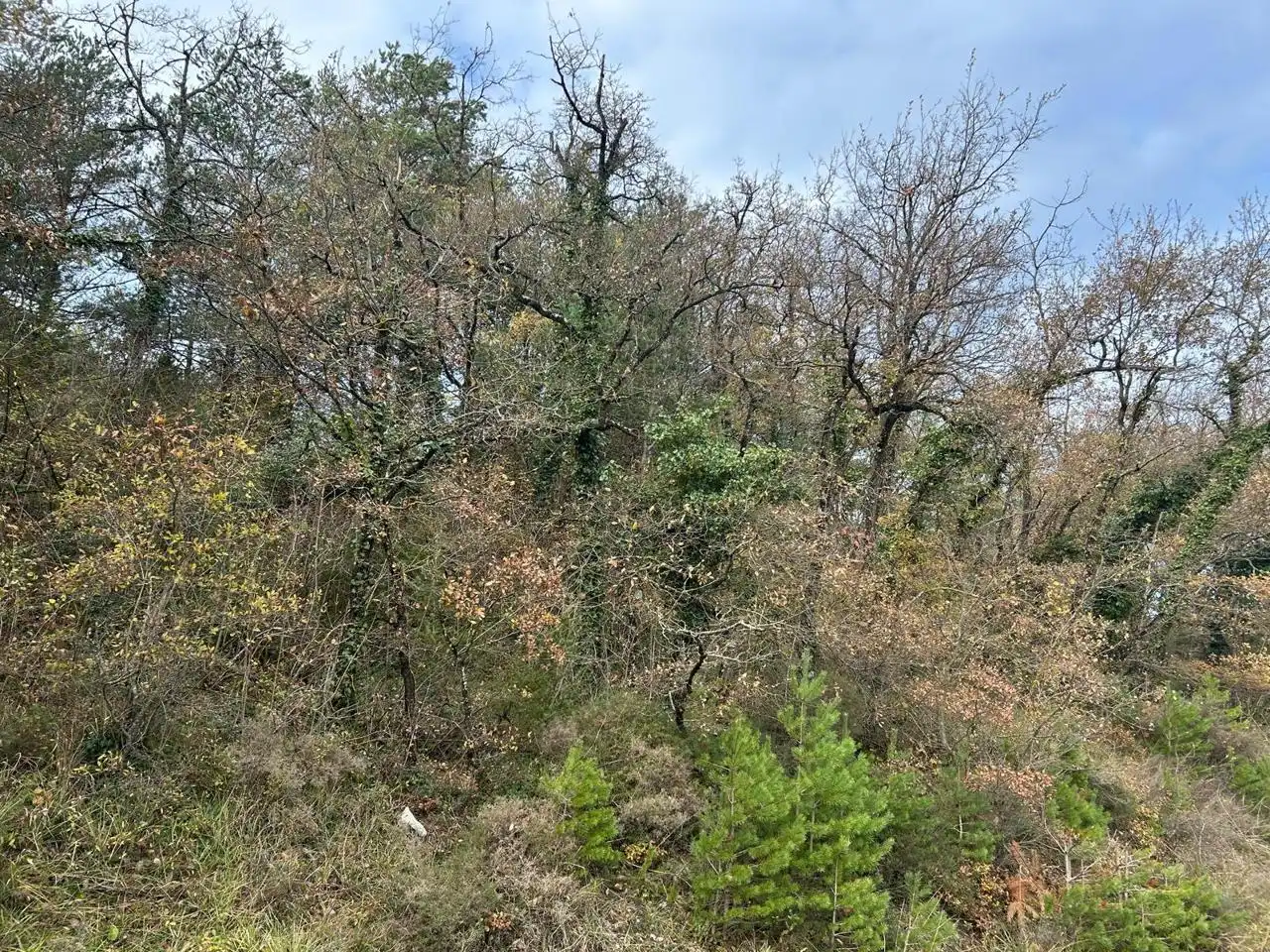 Land for sale in Kuartango