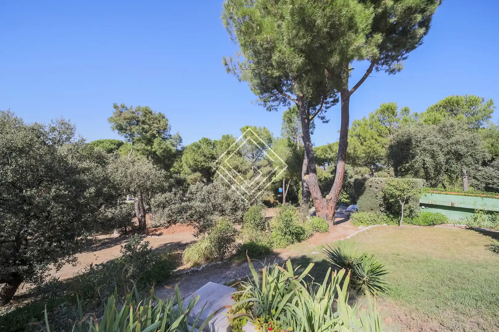 Jardí de Casa o xalet en venda en Pozuelo de Alarcón amb Jardí privat, Terrassa i Piscina