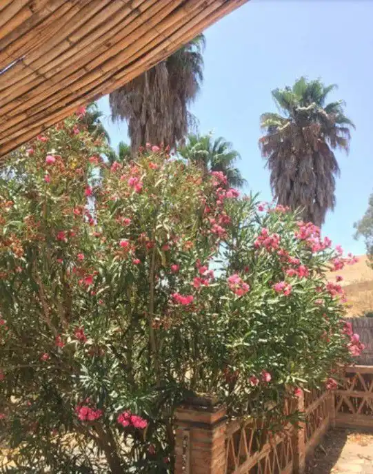 Maison rustique à vendre à San Martín del Tesorillo, imagen 12