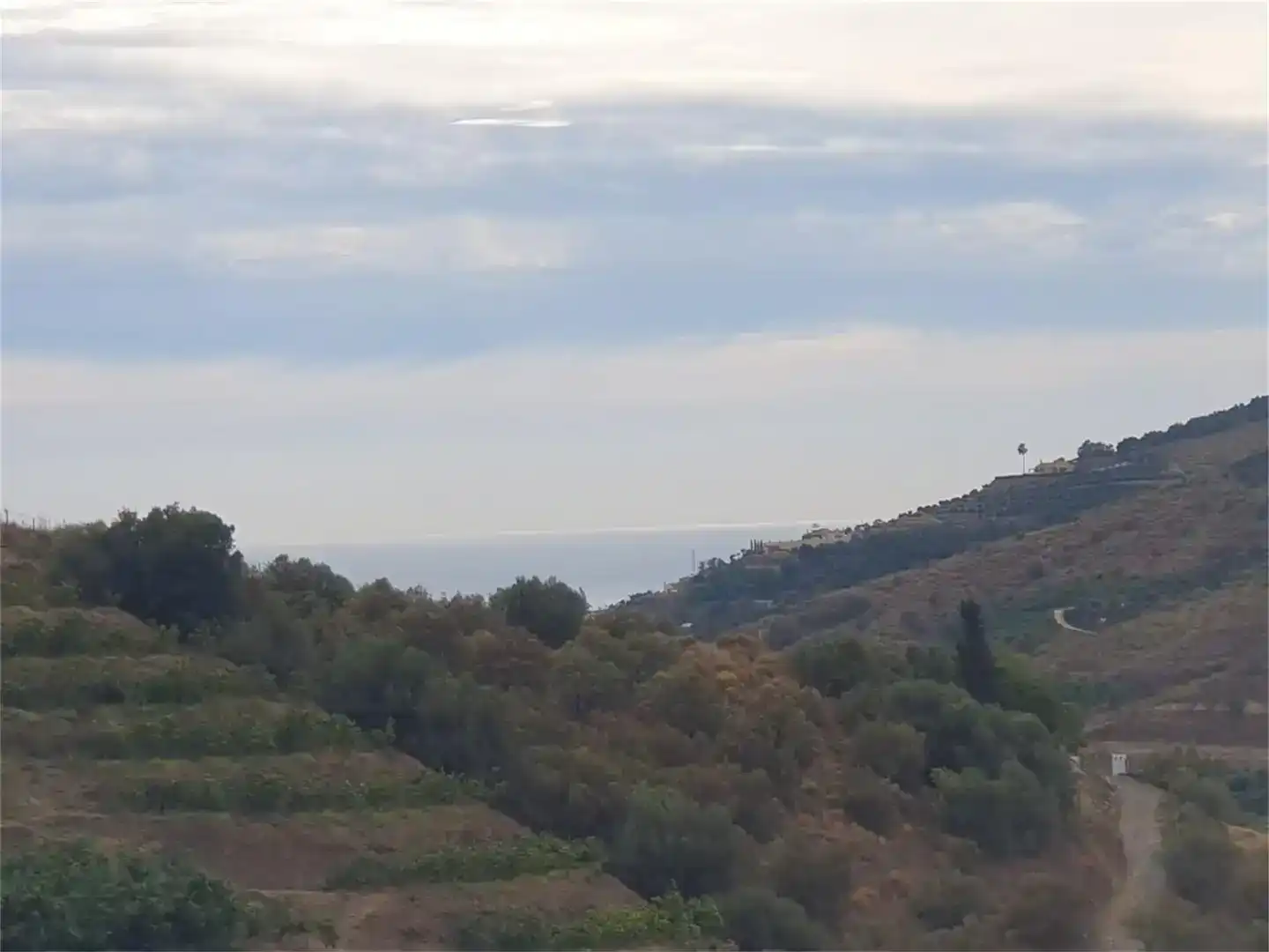 Finca rústica en venda en Frigiliana amb Piscina