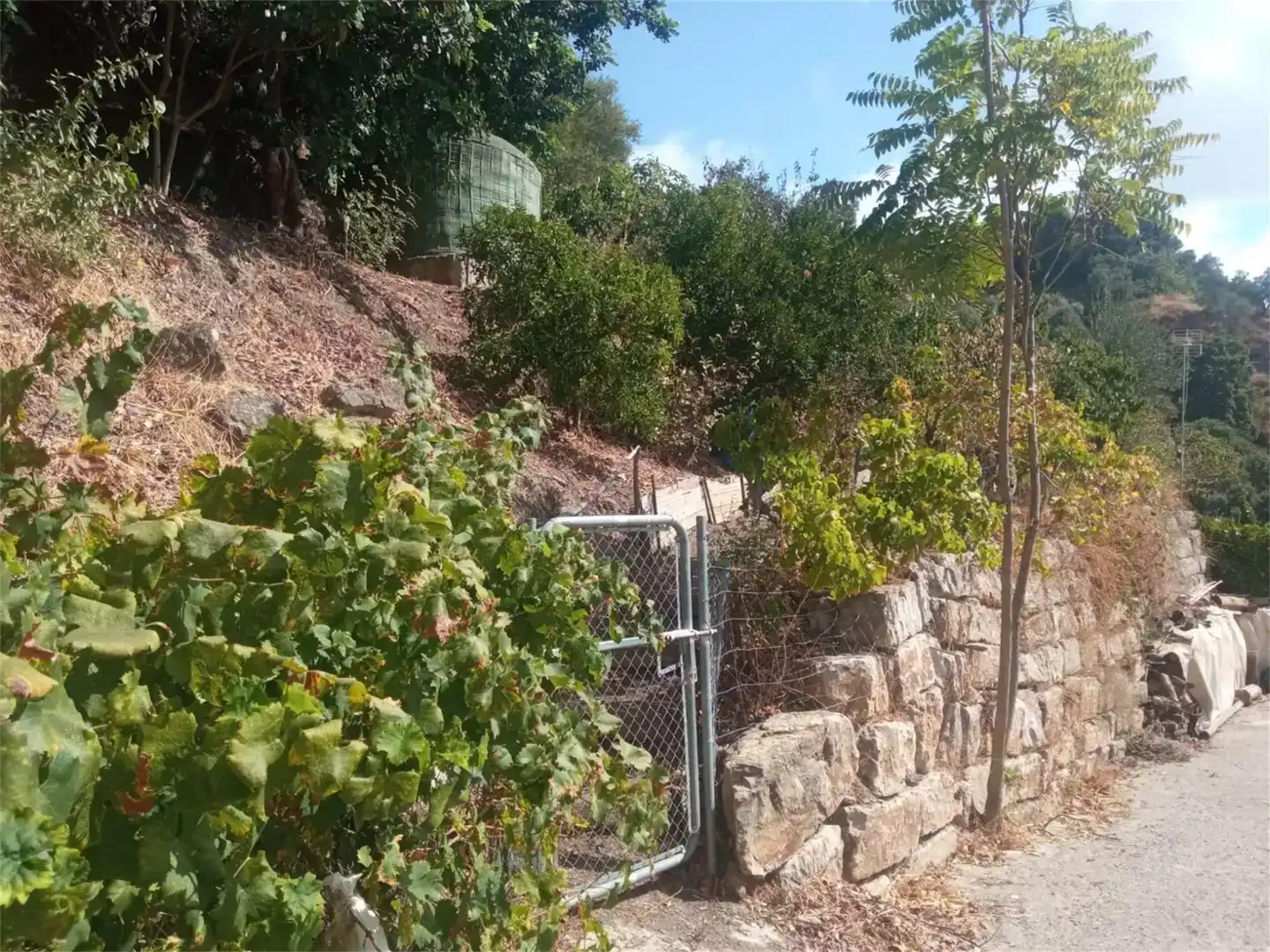 Finca rústica en venda en Genalguacil, Málaga