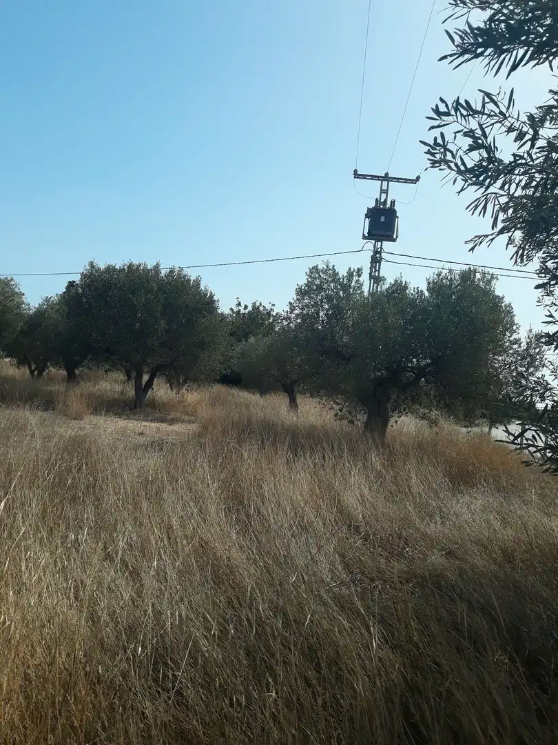 Rural land for sale in Camino de la Horna 26, imagen 2