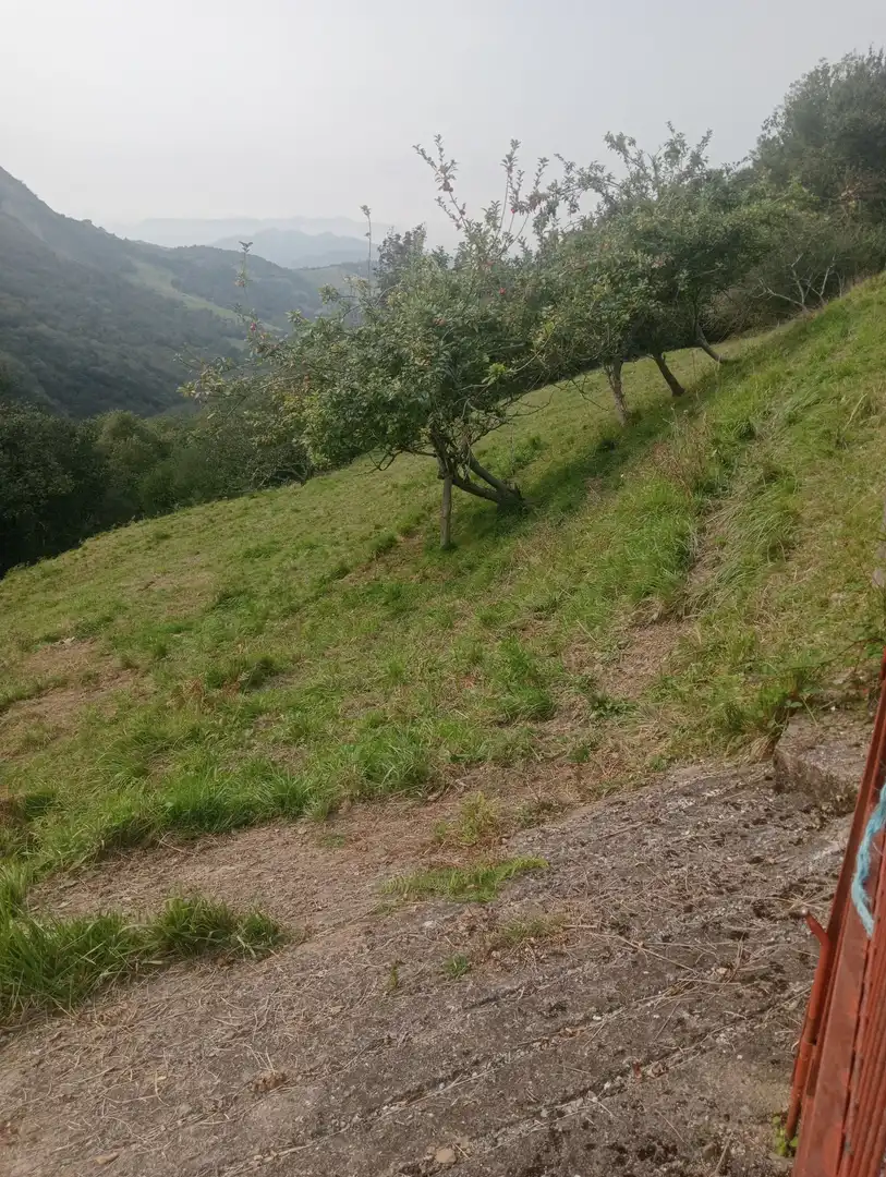 Terreno rustico in vendita a Onís, imagen 3